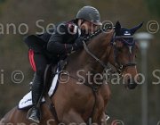 Chimirri B Caruso TosTour 2013- S4 7020 : Arezzo Equestrian Centre, Caruso, Chimirri Bruno, Toscana Tour 2013, foto di Stefano Secchi ©